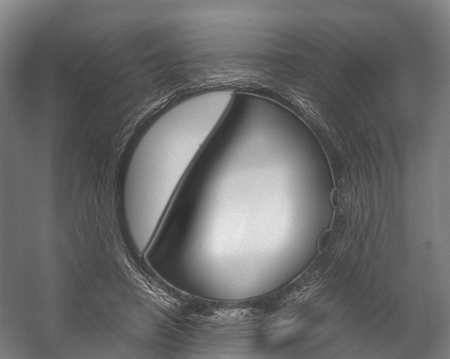 X0000058110450200509230824