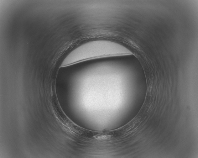 X0000058110452200509230824