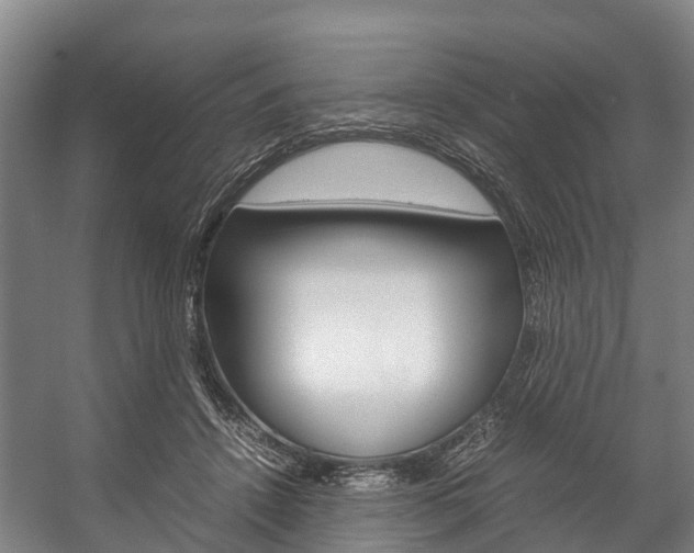 X0000058110456200509230824