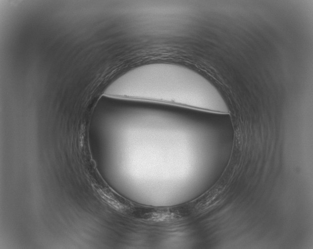 X0000058110458200509230824