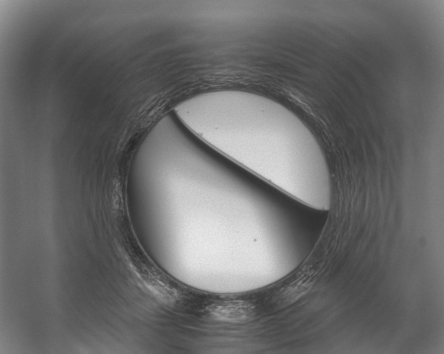X0000058110459200509230824