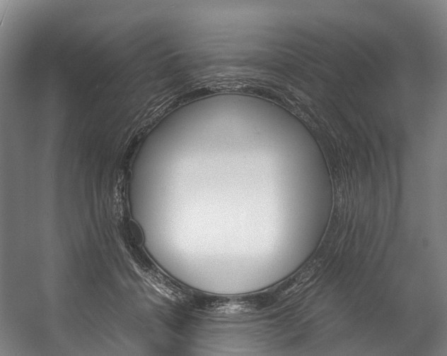 X0000058110460200509230824