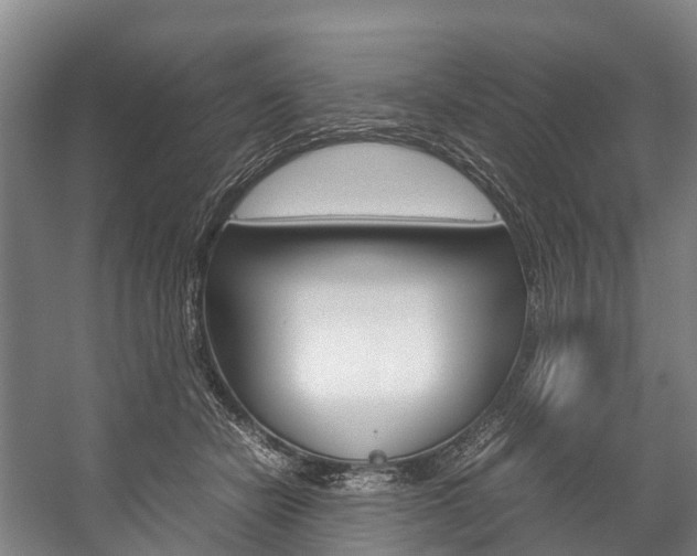 X0000058110462200509230825
