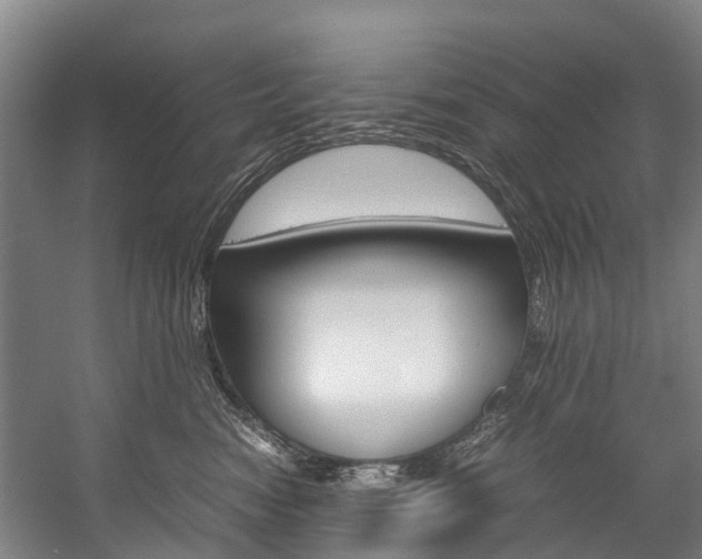 X0000058110474200509230825