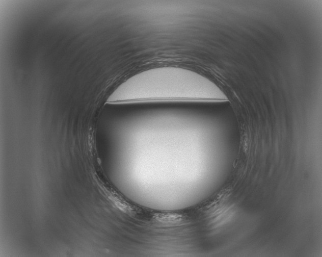 X0000058110476200509230825
