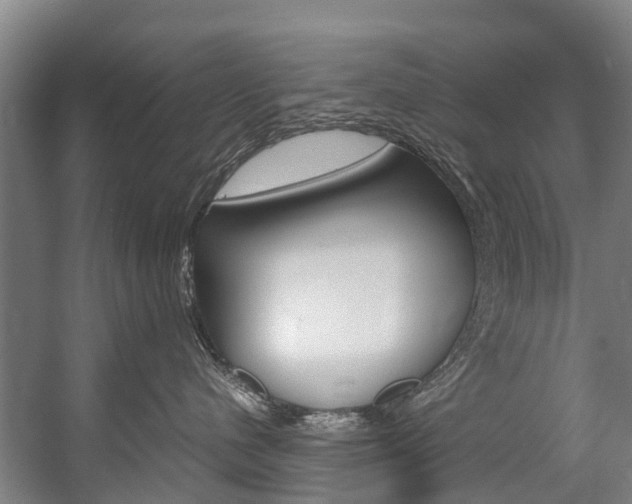 X0000058110480200509230825