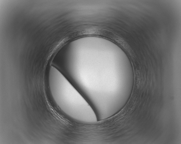 X0000058110482200509230824