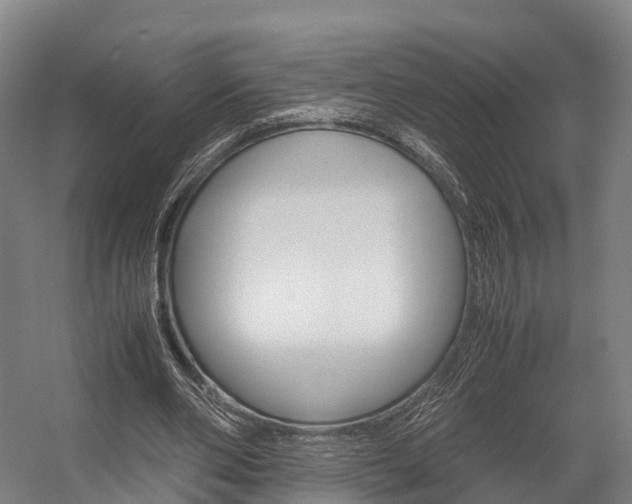 X0000058110486200509230824
