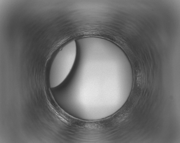 X0000058110490200509230824