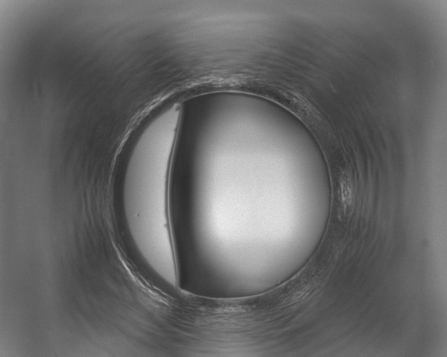 X0000058110492200509230824
