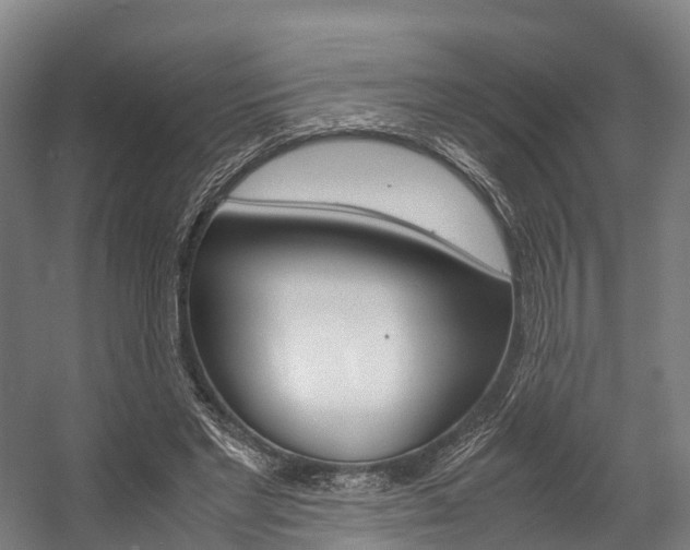X0000058110493200509230824
