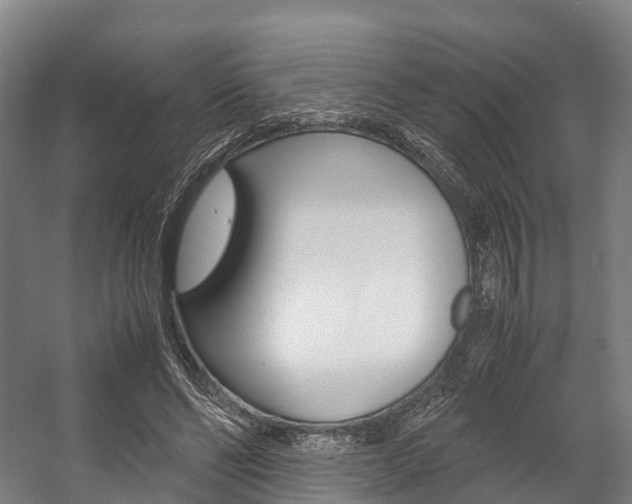 X0000058110494200509230824