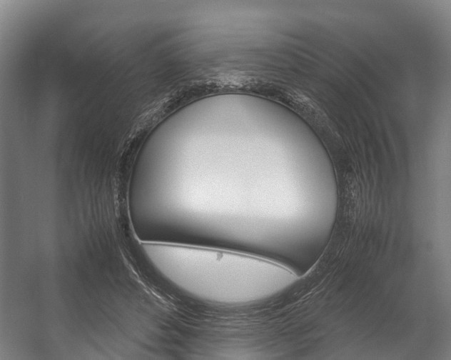 X0000058110496200509230824