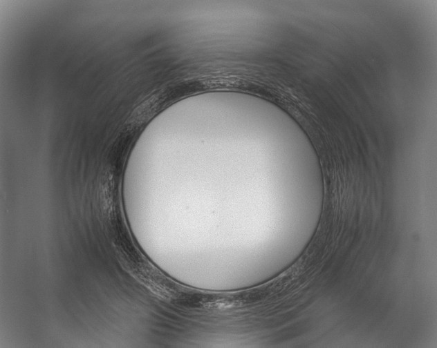 X0000058110498200509230824