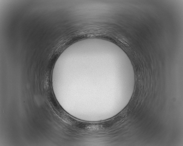 X0000058110499200509230824