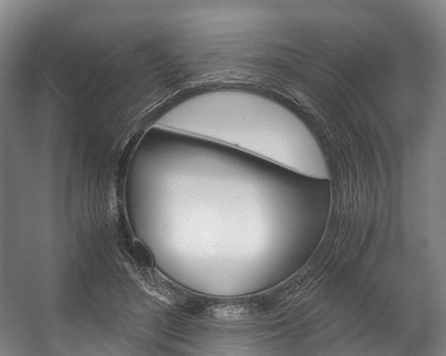 X0000058110500200509230824