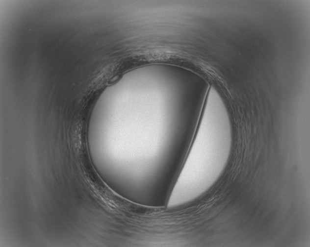 X0000058110501200509230824