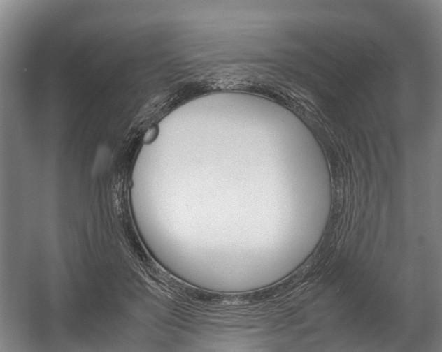 X0000058110503200509230824