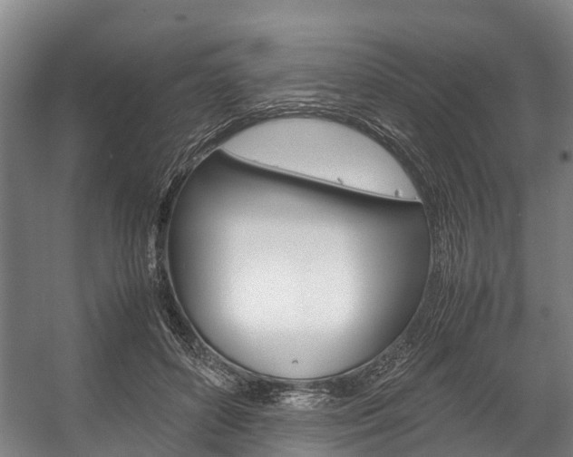 X0000058110504200509230824