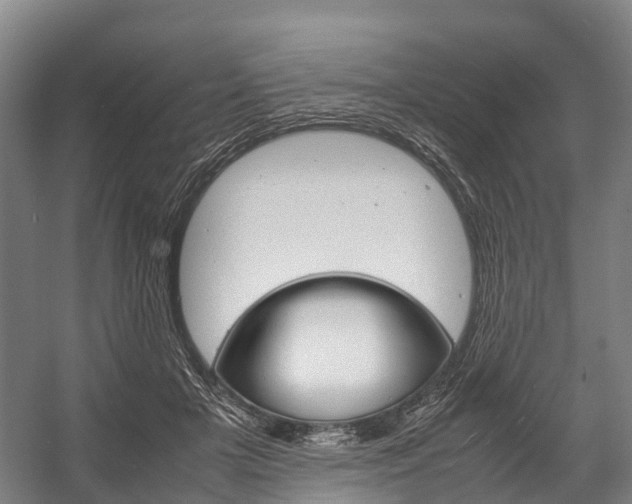 X0000058110505200509230824
