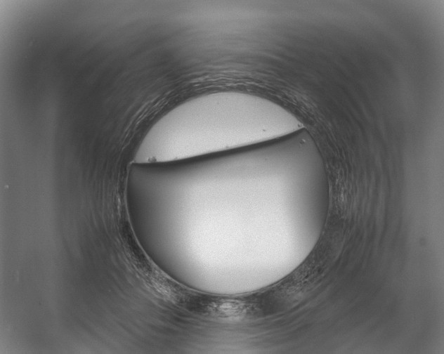 X0000058110506200509230824