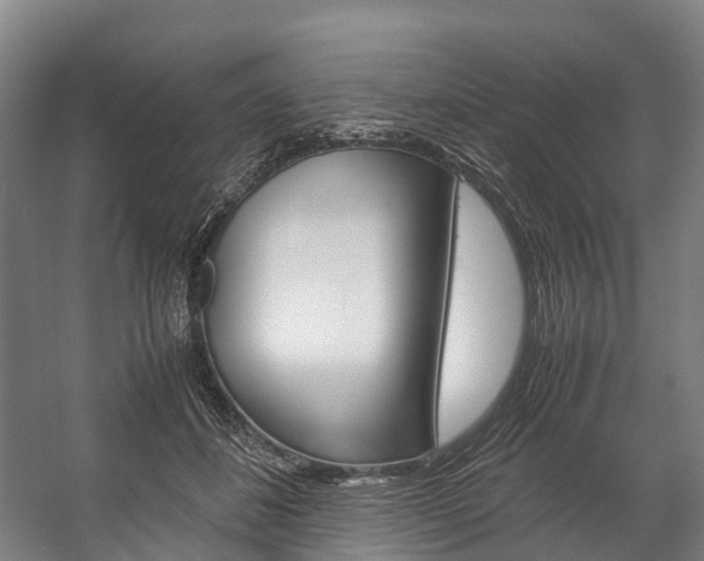 X0000058110508200509230824