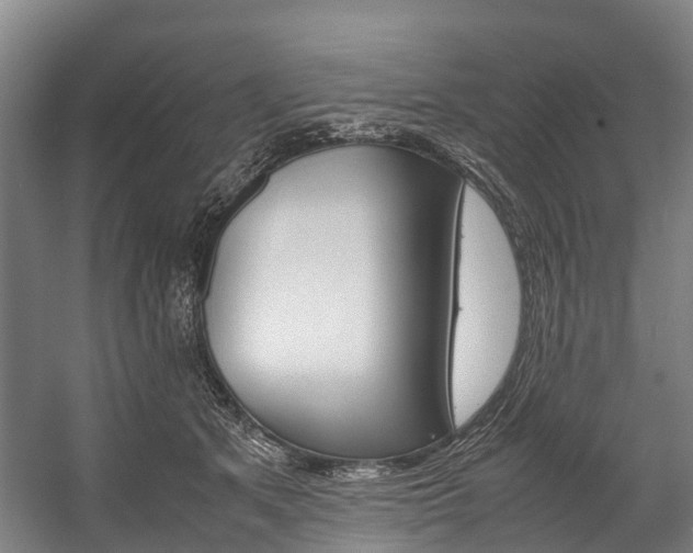 X0000058110513200509230823