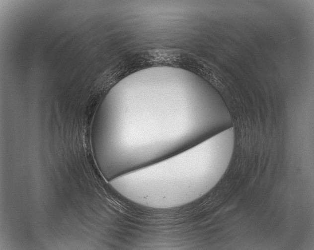 X0000058110514200509230823