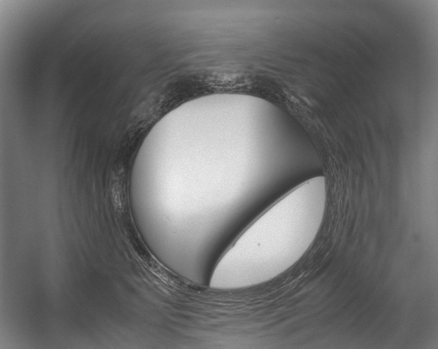 X0000058110515200509230823