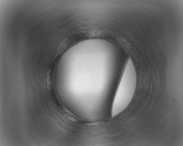 X0000058110516200509230823