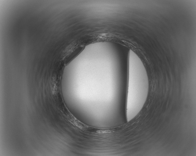 X0000058110520200509230823
