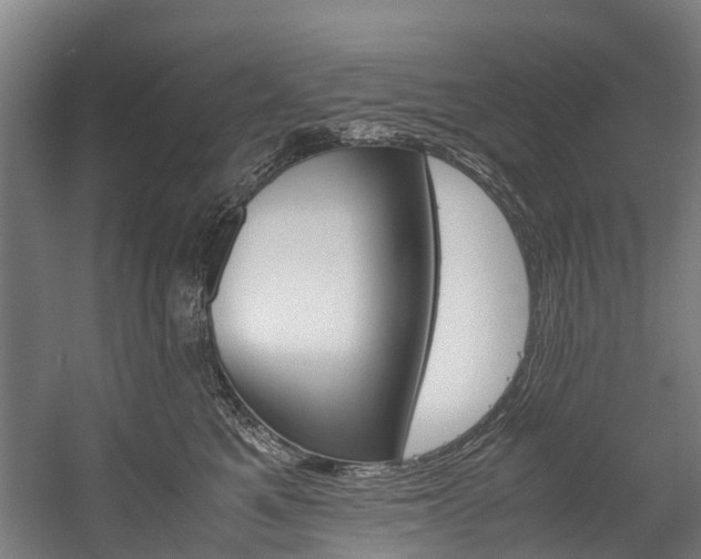 X0000058110521200509230823