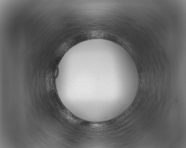 X0000058110522200509230823