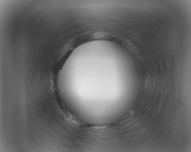 X0000058110524200509230823