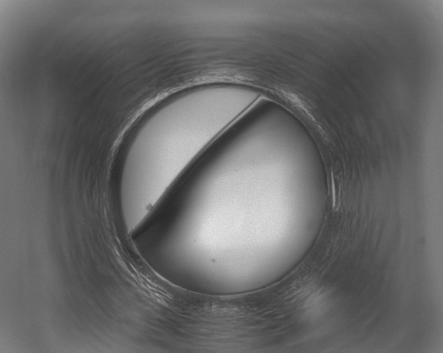 X0000058110531200509230822