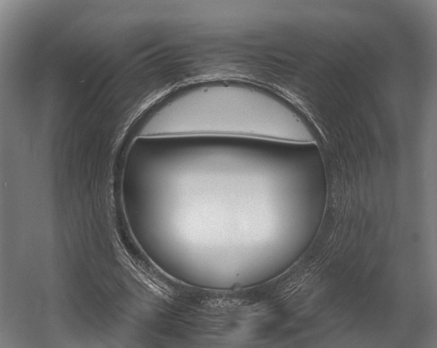 X0000058110535200509230822