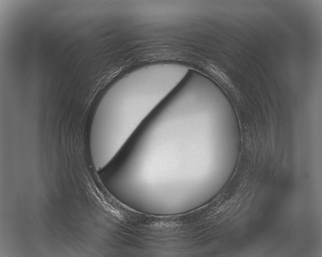 X0000058110537200509230823