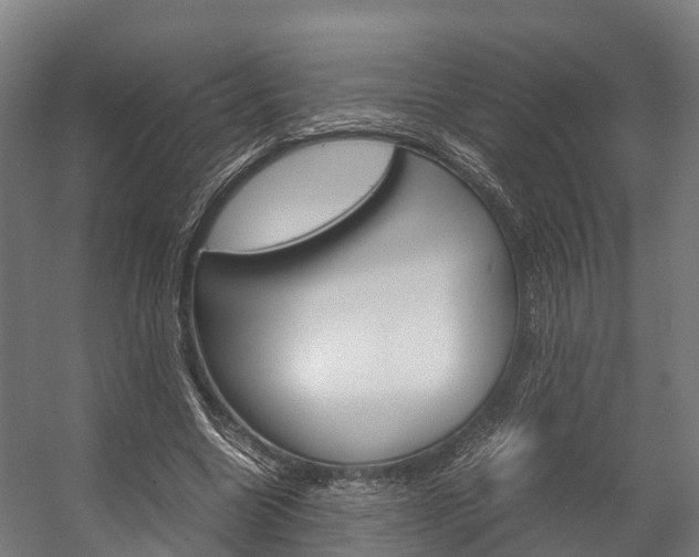 X0000058110538200509230823