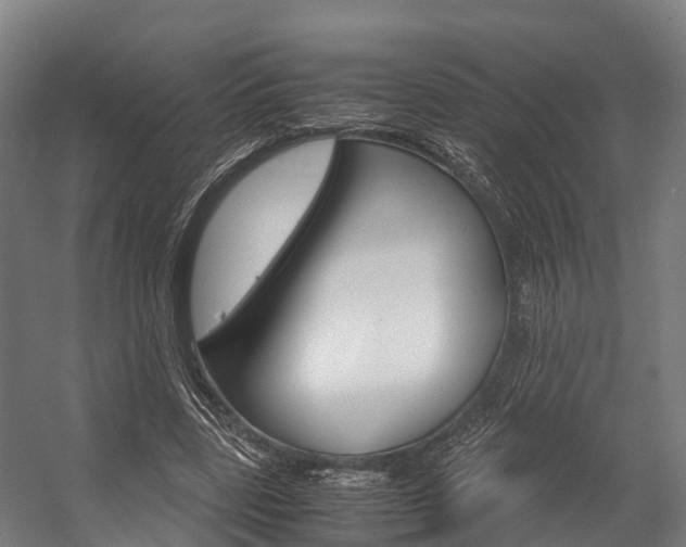 X0000058110539200509230823