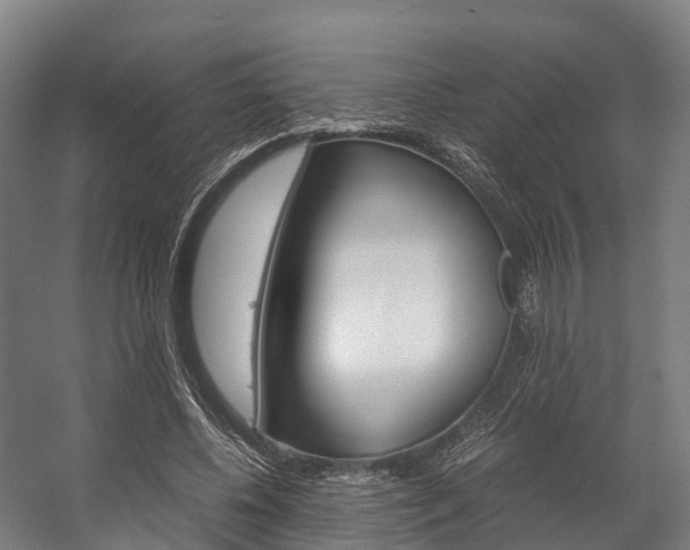 X0000058110540200509230823