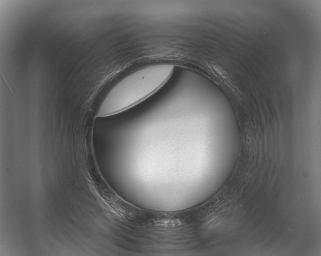 X0000058110543200509230823