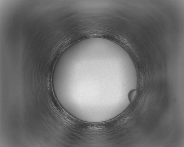 X0000058110545200509230823