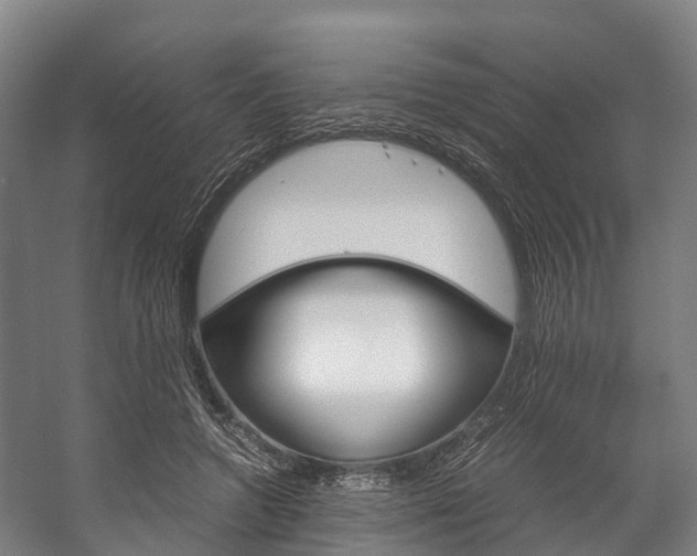 X0000058110546200509230823