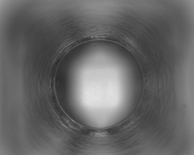X0000058110548200509230823