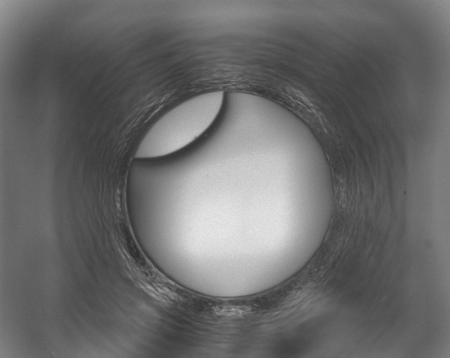 X0000058110549200509230823