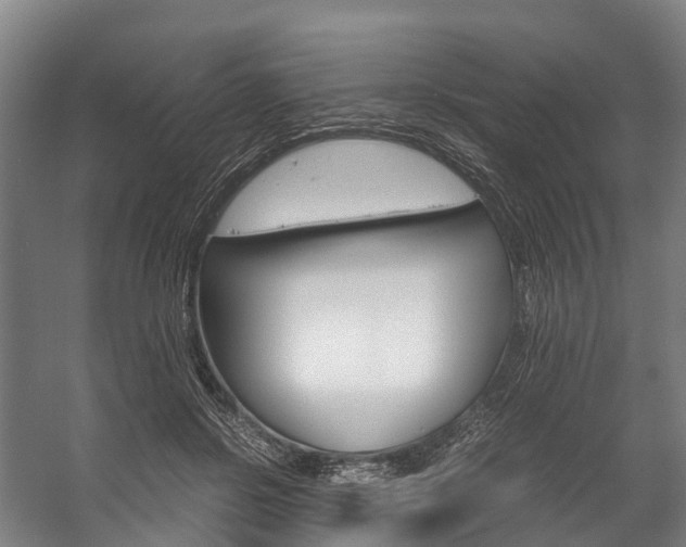 X0000058110550200509230823