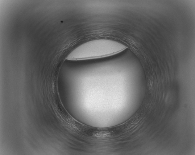X0000058110551200509230823