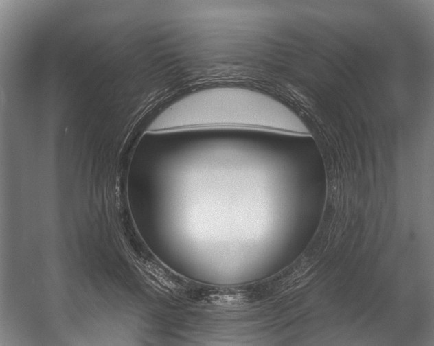 X0000058110552200509230823
