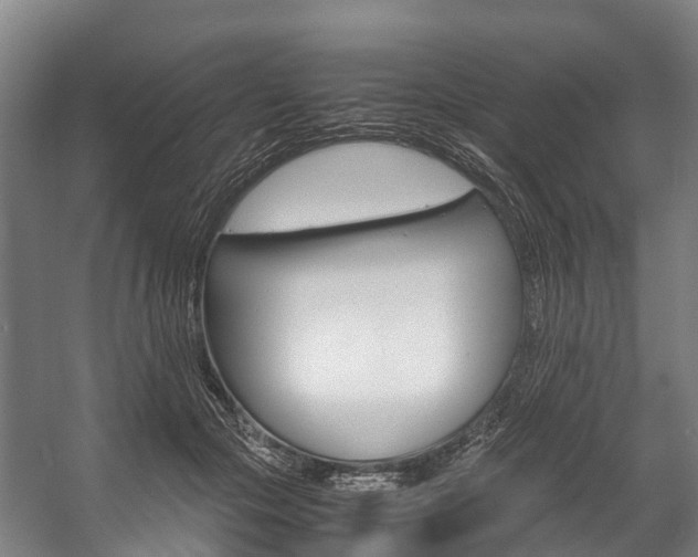X0000058110553200509230823