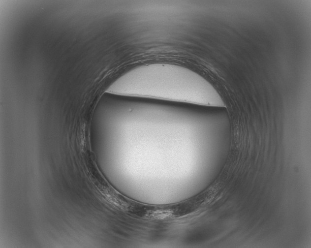 X0000058110554200509230823